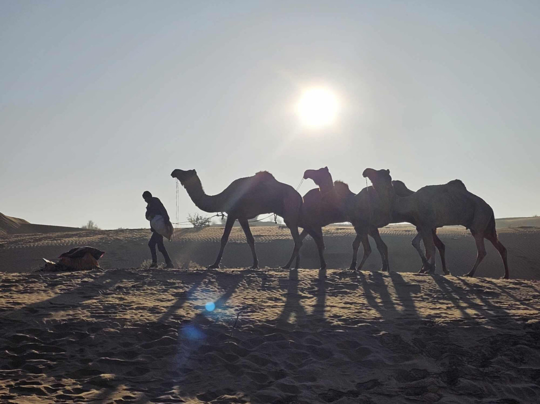Sahara Travels Day Tours景点图片