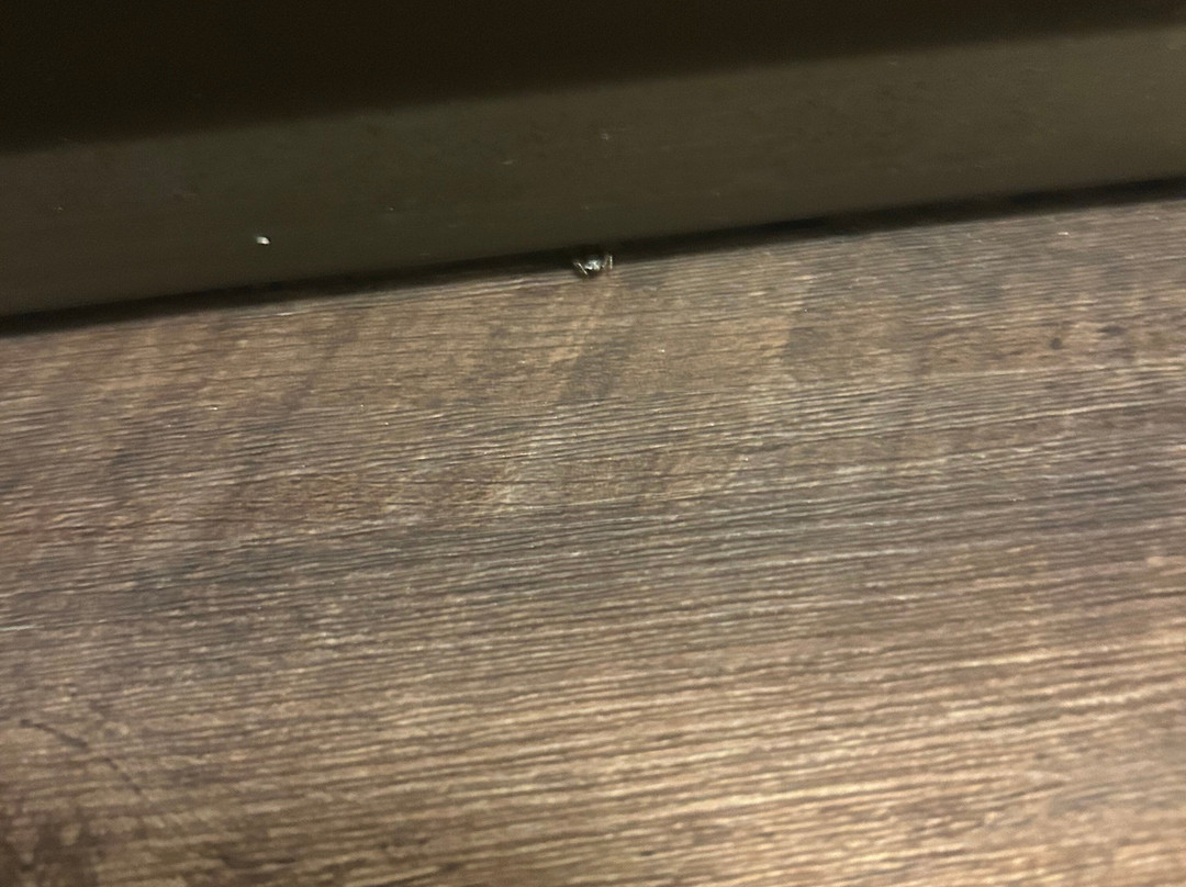 Red Roof Inn Findlay主图