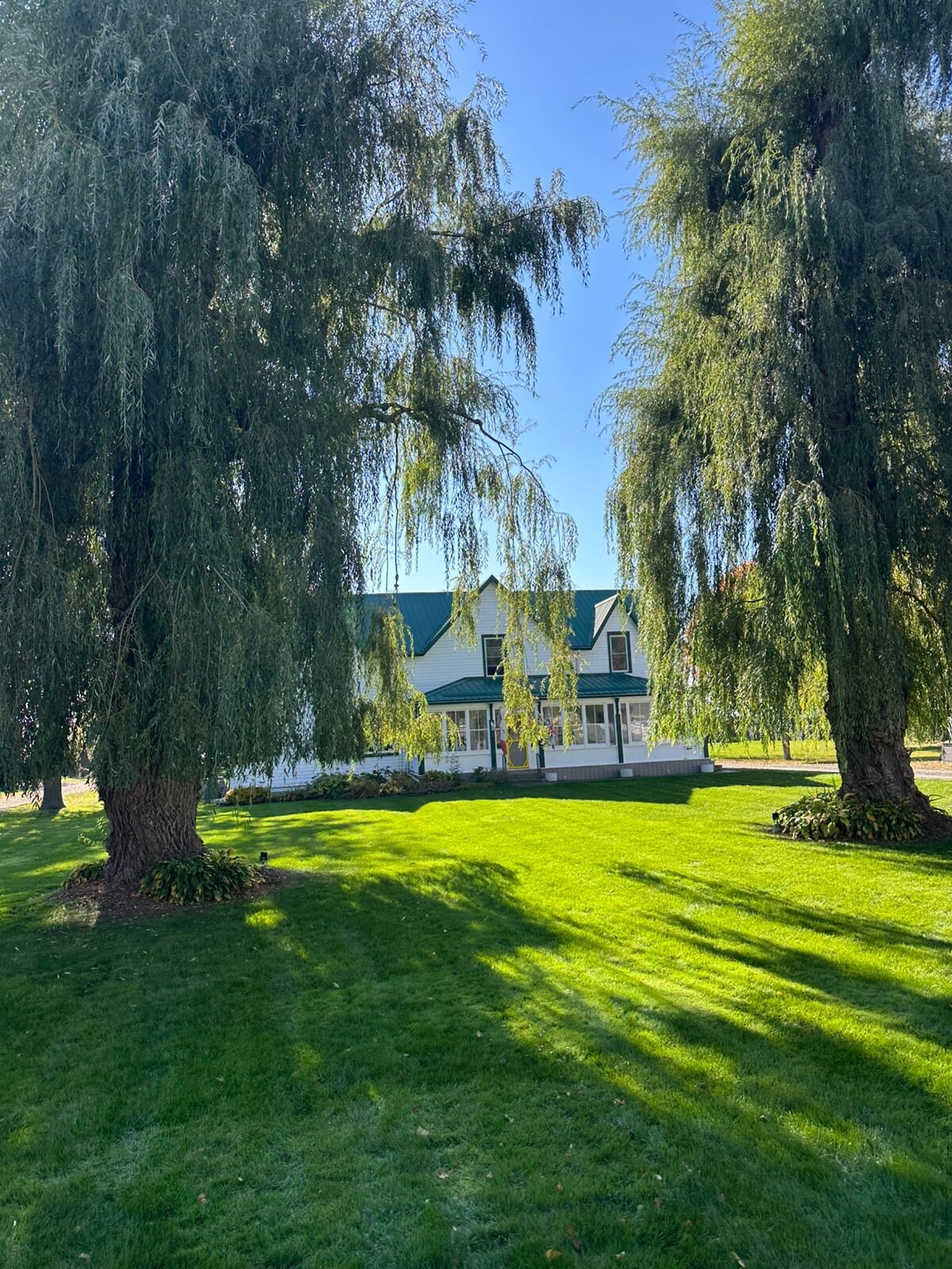 Wellington Willows Boutique B&B-浴室