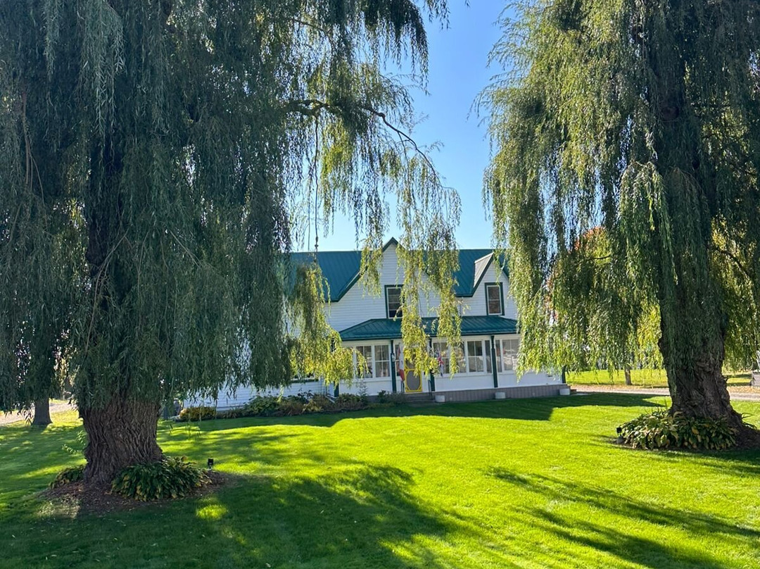 Wellington Willows Boutique B&B主图