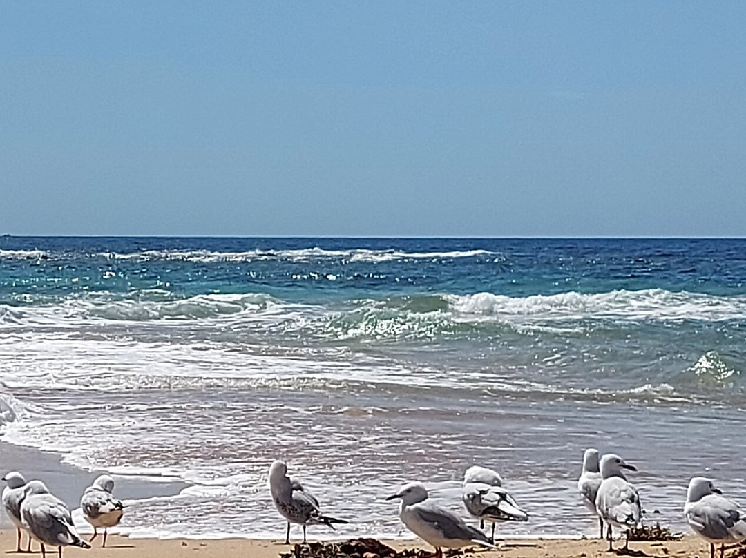 Kims Beachside Retreat主图