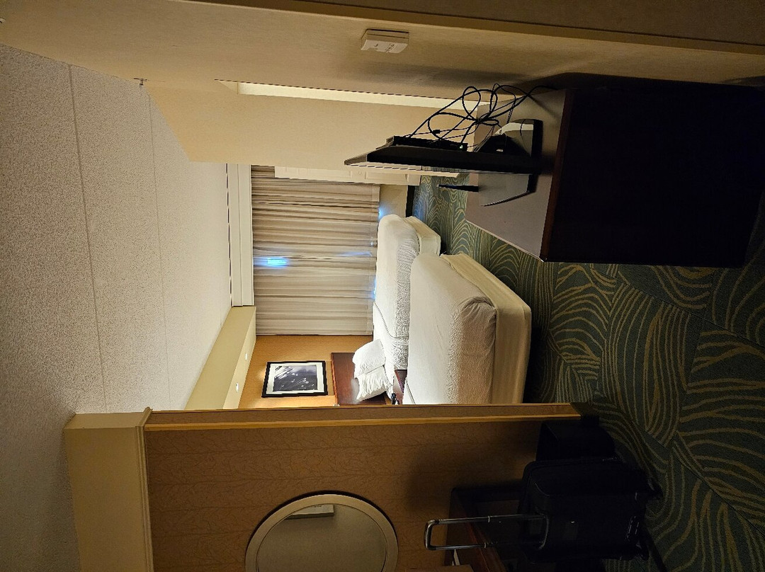 SpringHill Suites by Marriott Arundel Mills BWI Airport主图