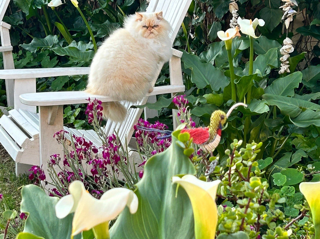 Guinea Fowl House B&B主图