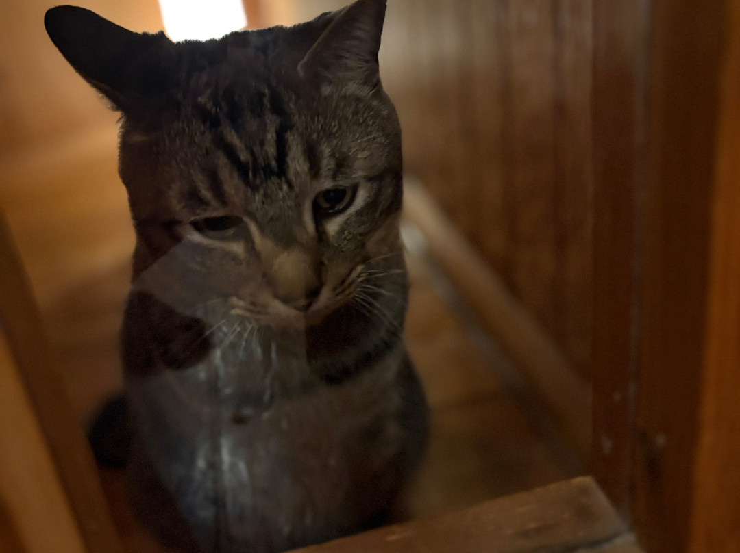 Happy Pension Kujukuri主图