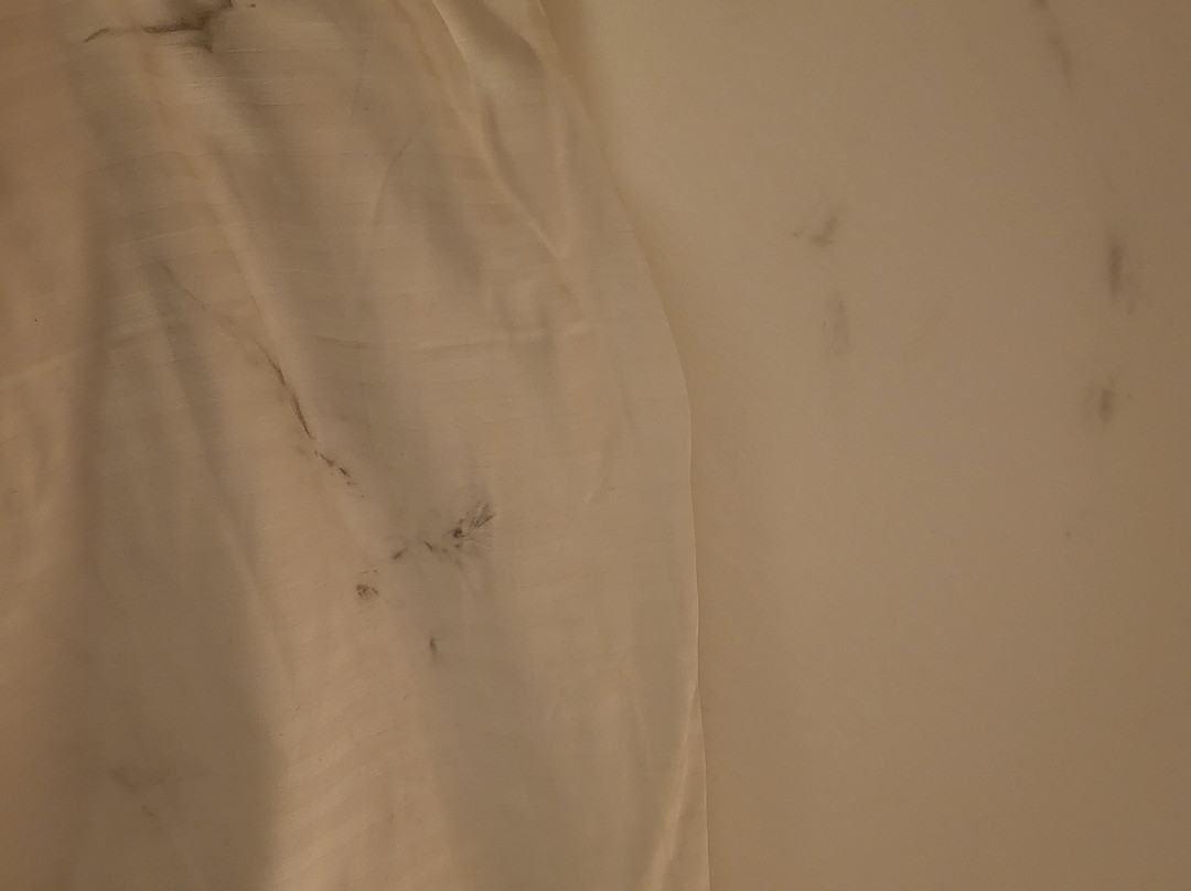 圖洛特飯店主图