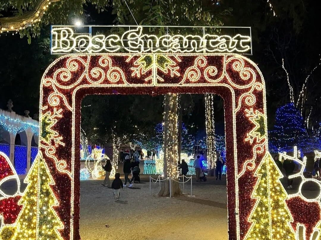 Bosc Encantat-加瓦必去景点