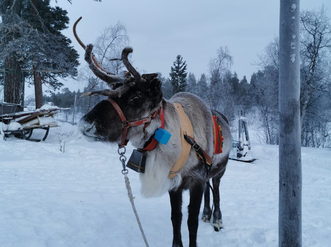 Adventure Lapland-Jukkasjarvi必去景点