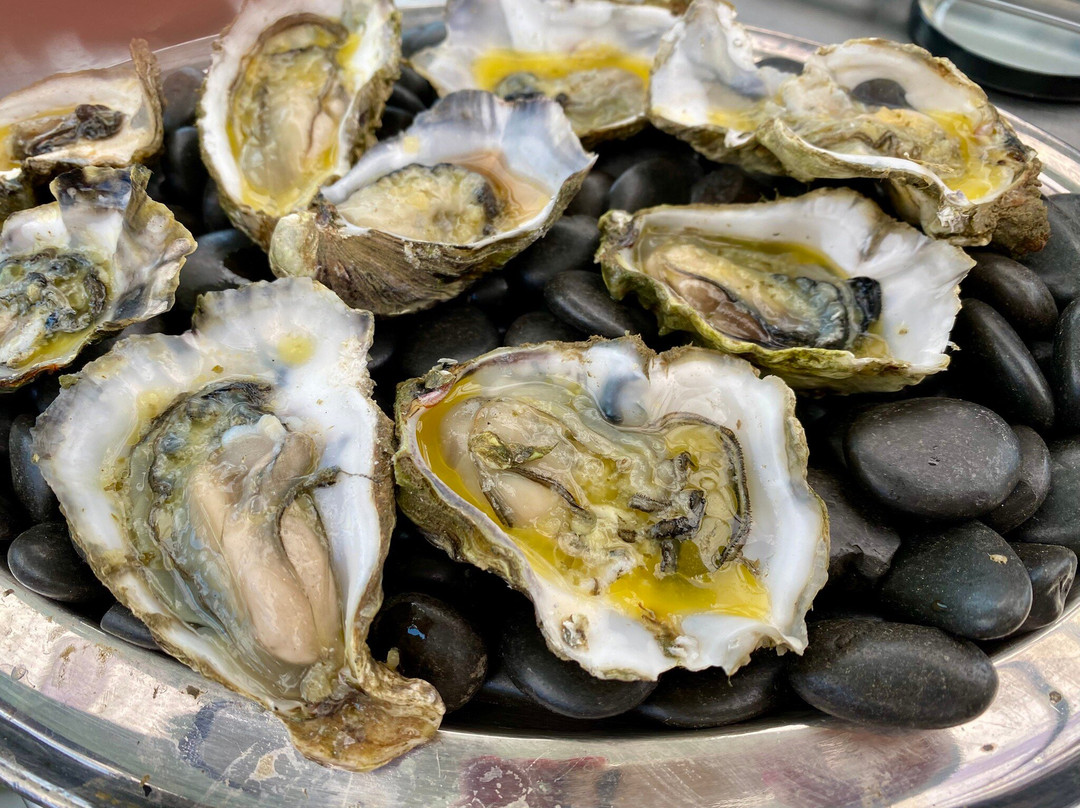 Nz Oyster Farm Tours-Mahurangi East必去景点