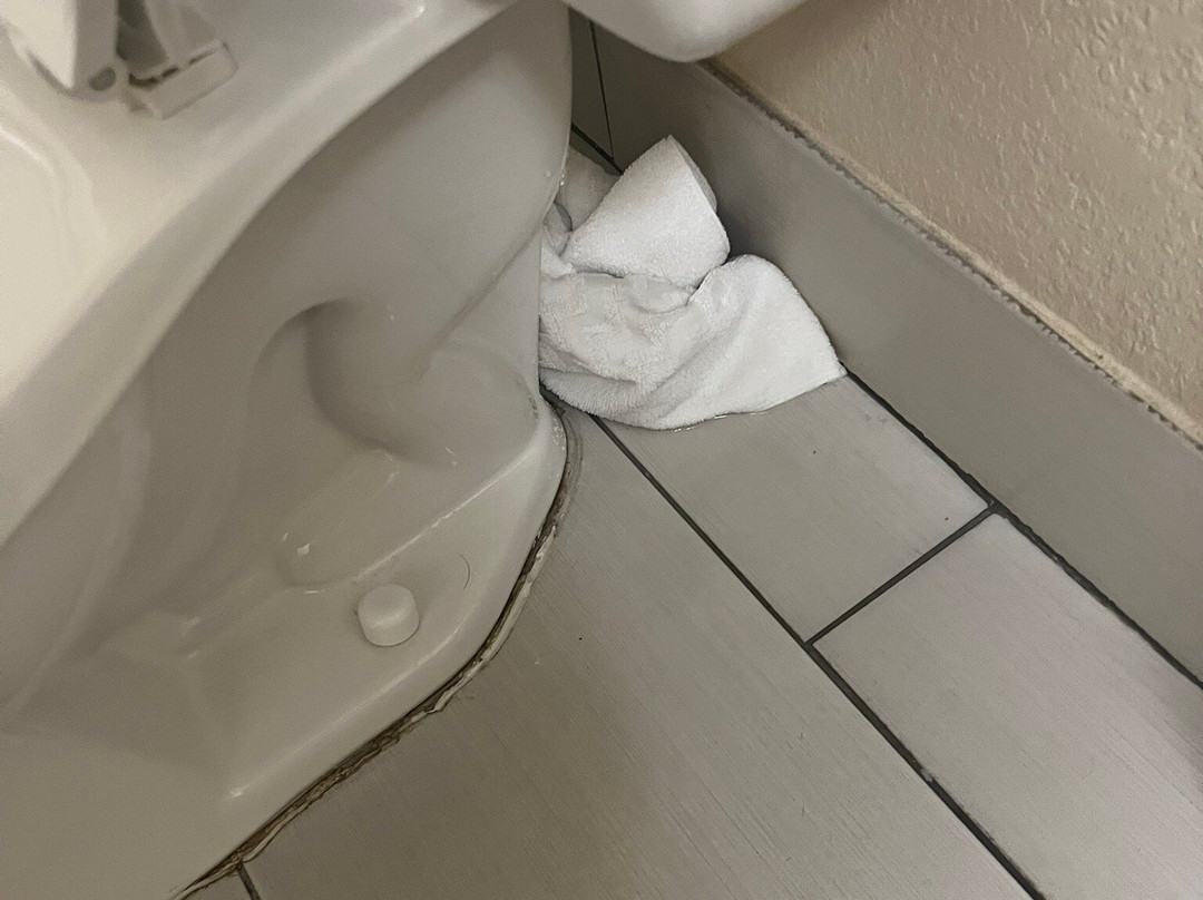 Best Western Plus Birmingham Inn & Suites主图