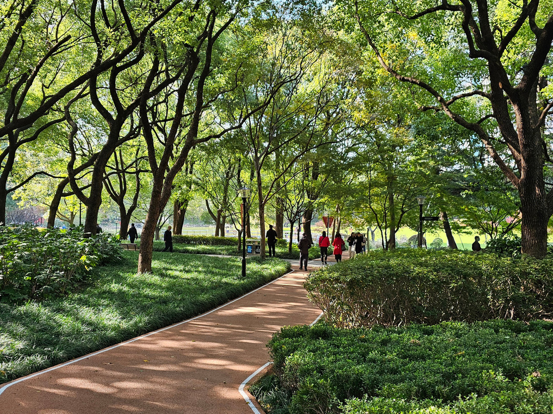 延中绿地-上海市必去景点