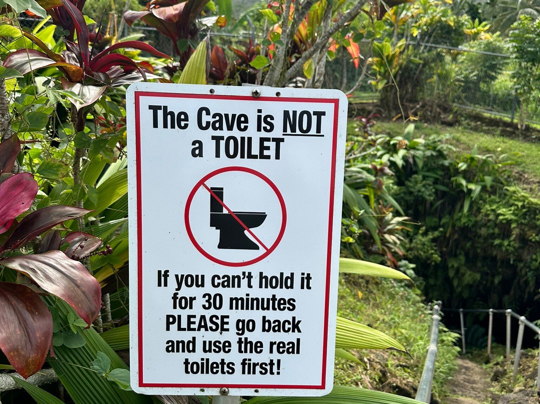 Hana Lava Tubes-海库必去景点