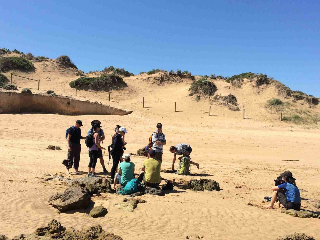 Hike Tribe-墨尔本必去景点