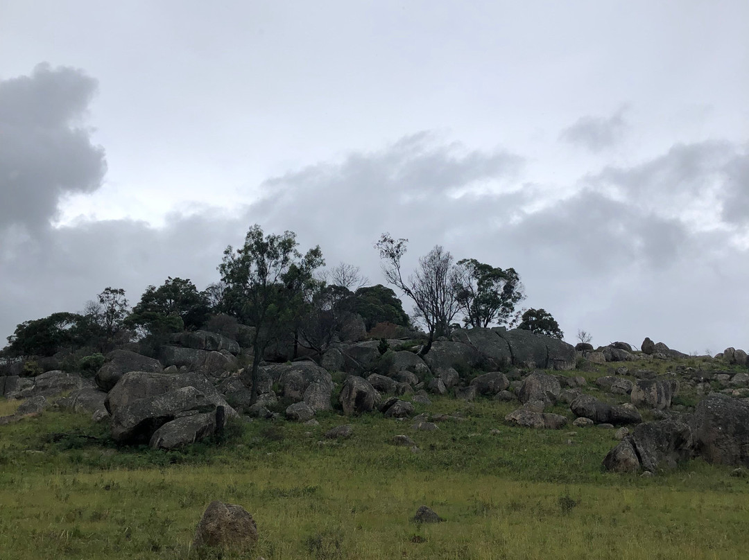 Mount Mackenzie Nature Reserve景点图片
