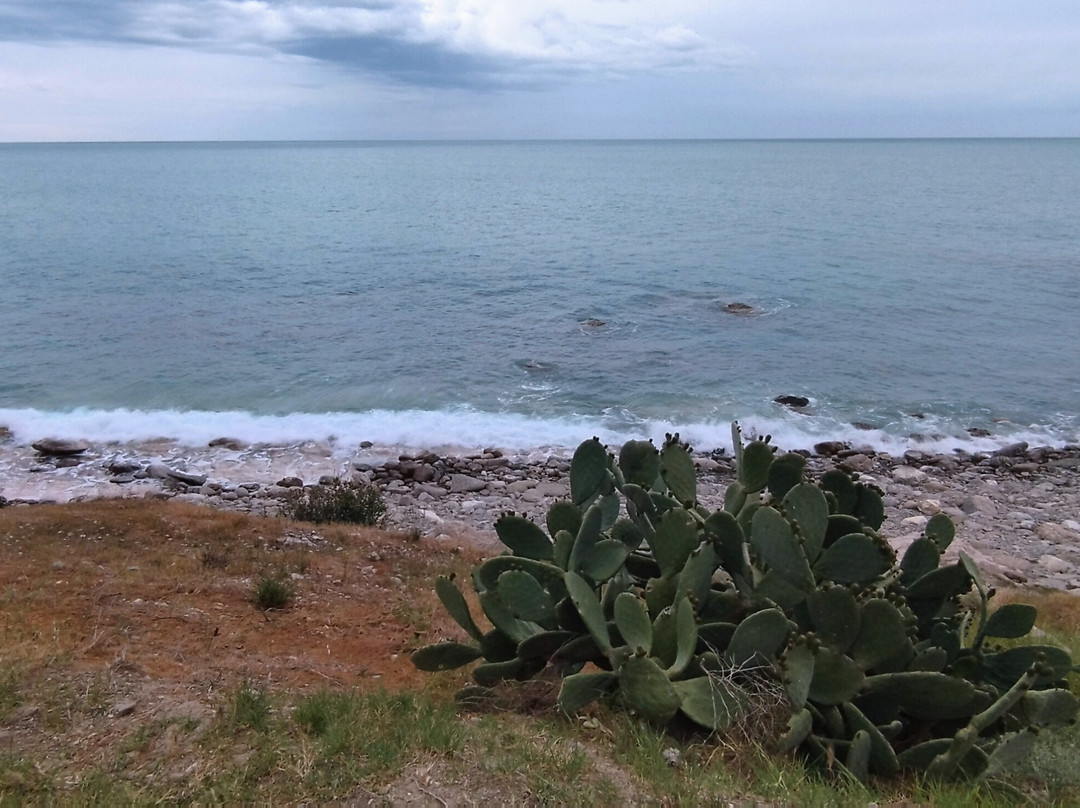 L'Antico Granaio Sotto il Castello Federiciano-Roseto Capo Spulico必去景点