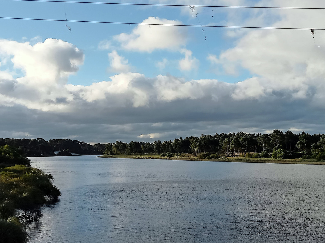Pando Creek-Neptunia必去景点