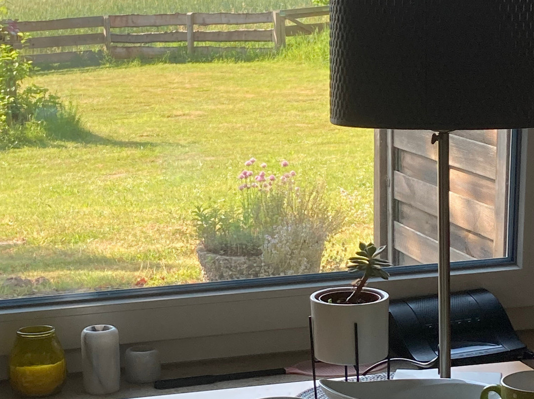 Ferienhof Meyer主图