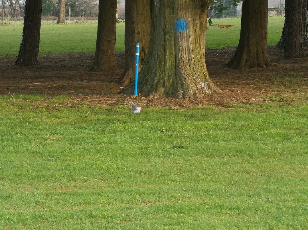 Enmore Park Golf Club景点图片