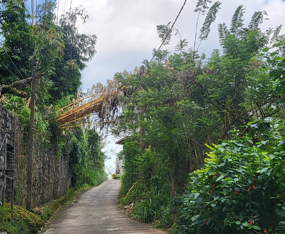 Green Heaven Resort主图