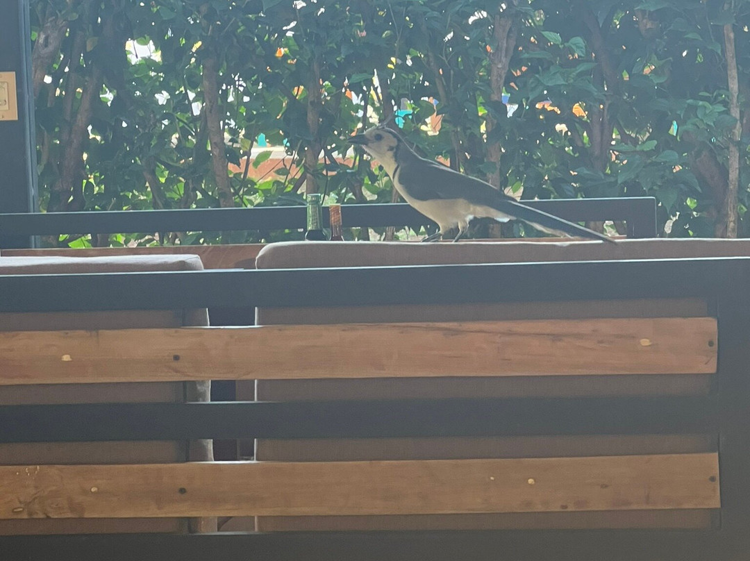 Drift Away Lodge主图