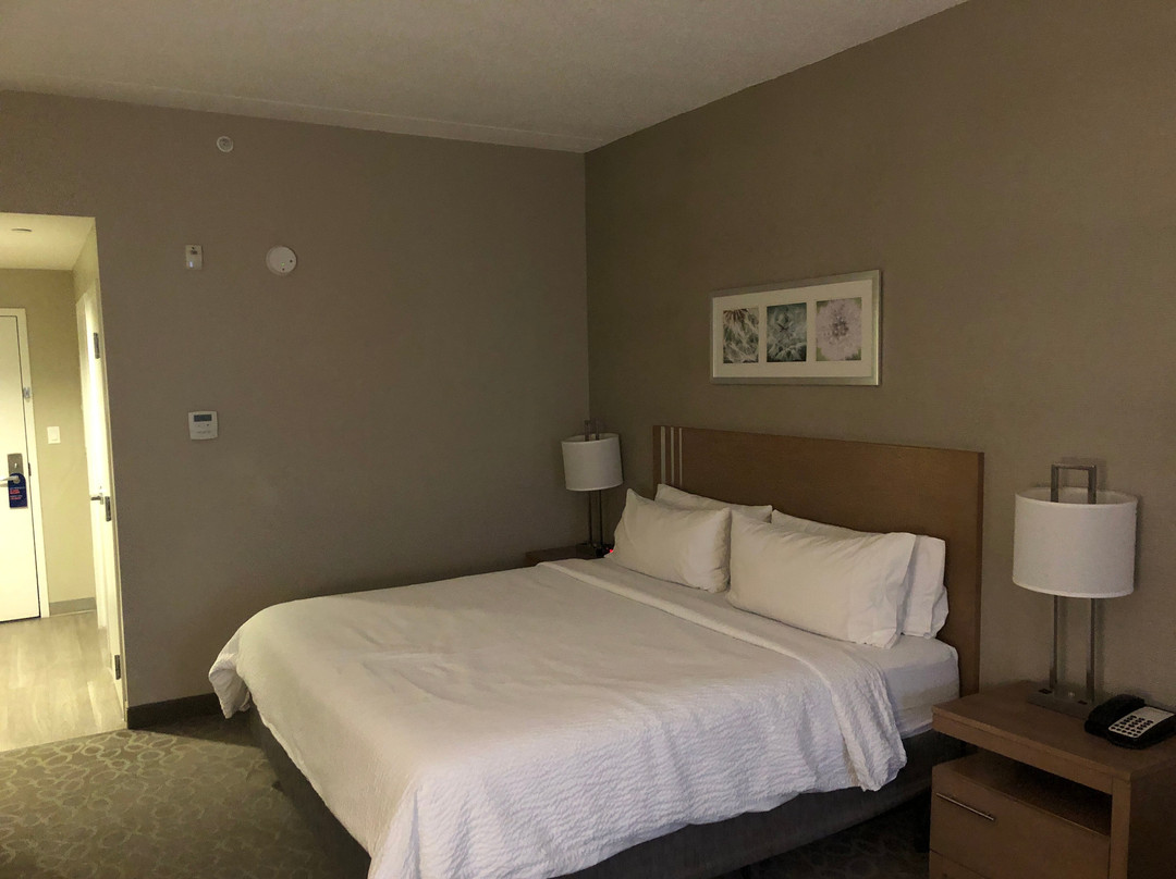 Holiday Inn Express & Suites Oshawa Downtown - Toronto Area by IHG主图