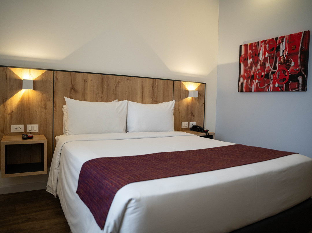 Hotel Distrito ZF主图