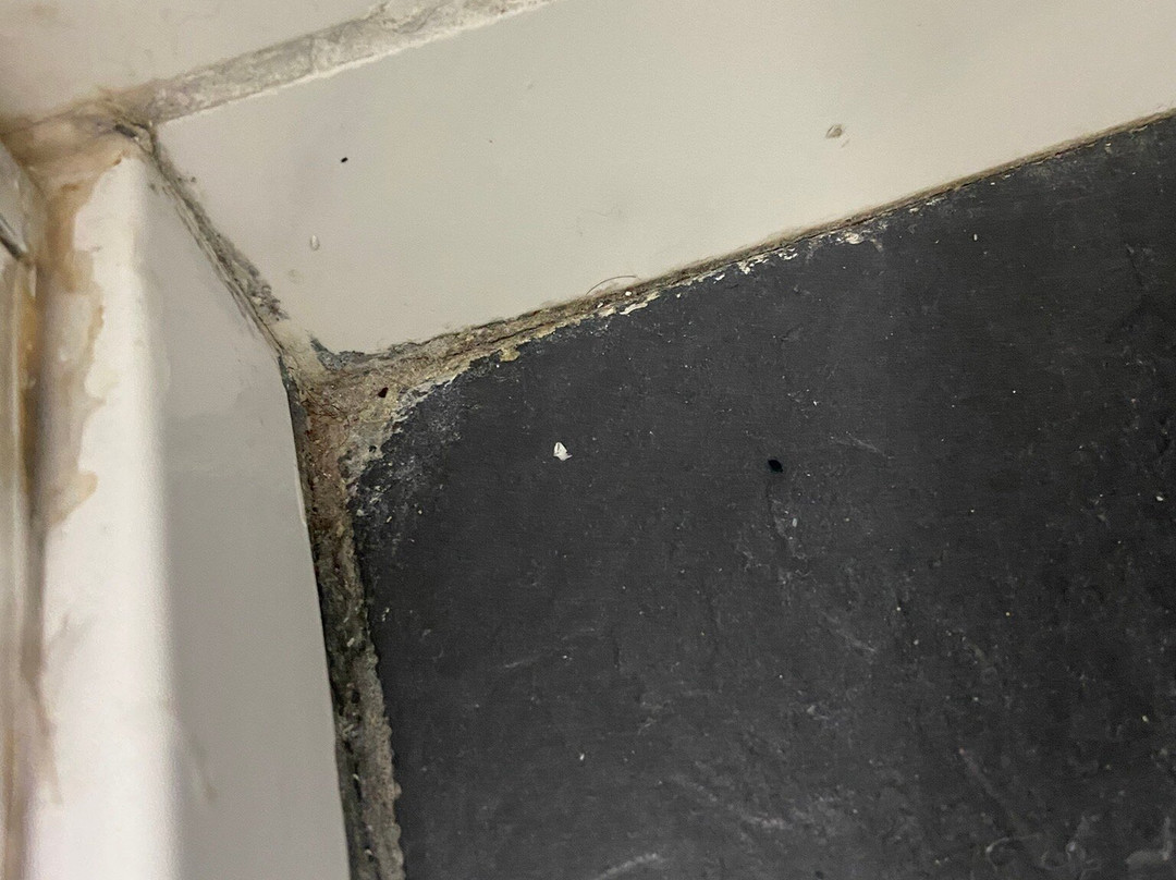 Red Lion Hotel Basingstoke主图