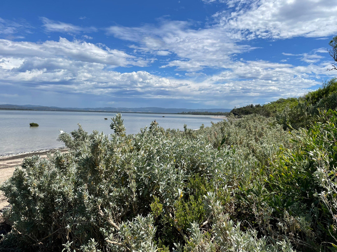 Old Port Walking Trail-Port Albert必去景点