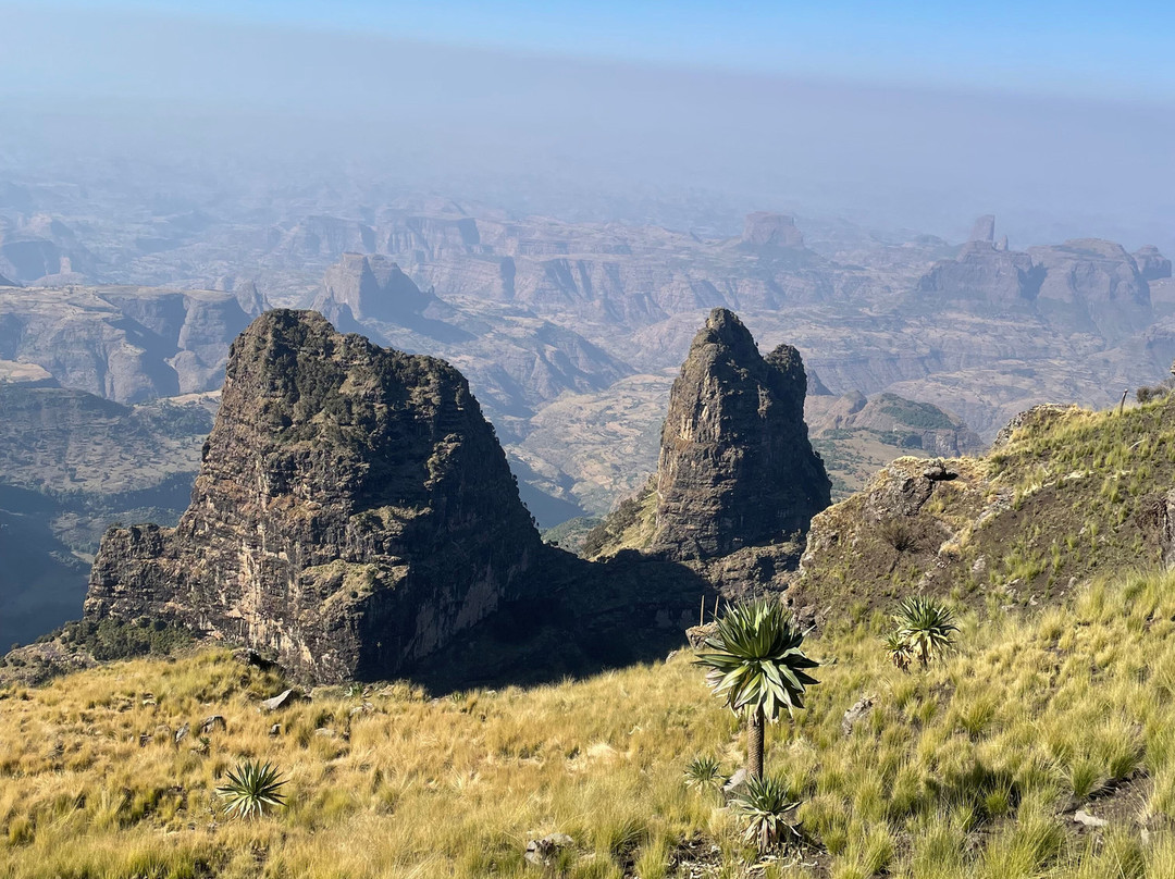 Liyu Ethiopia Tours景点图片