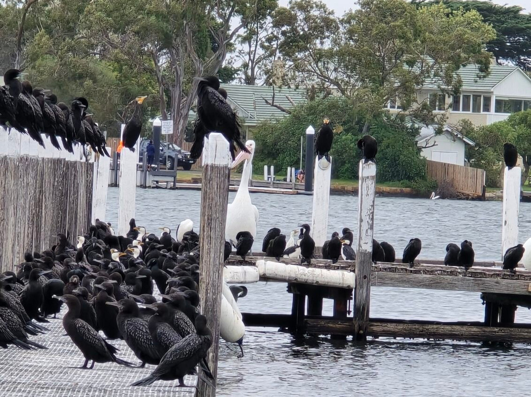 Riviera Nautic-Metung必去景点