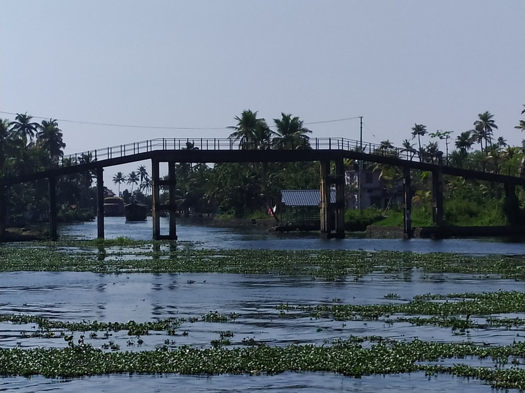 Alappuzha Boat Jetty景点图片