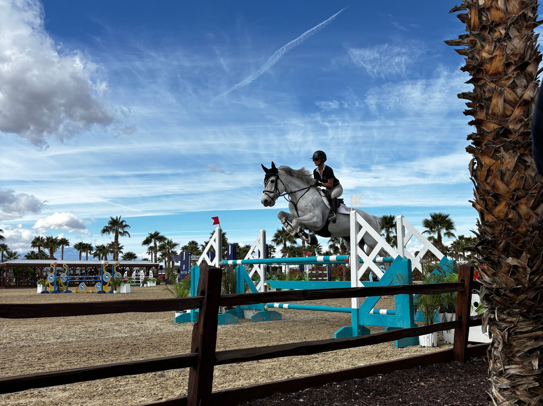 Desert International Horse Park
