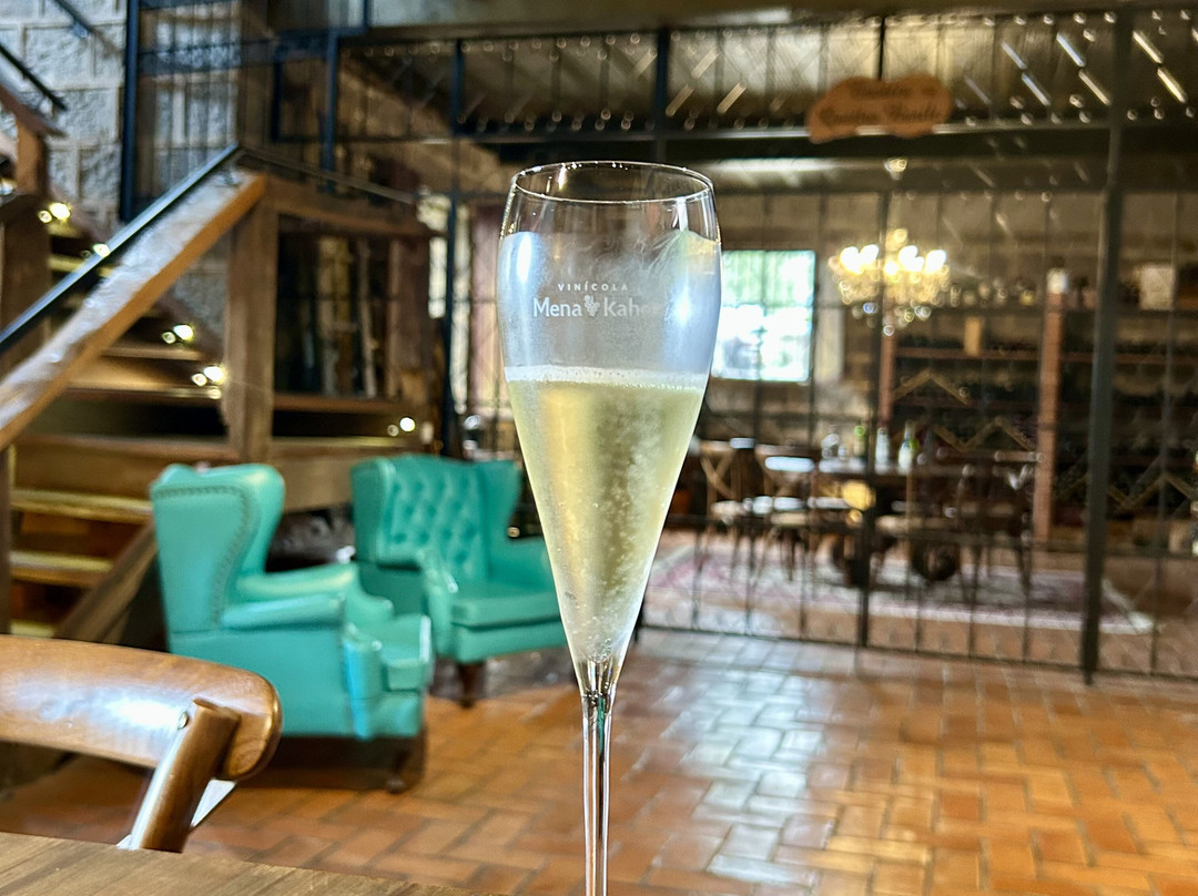Vinicola Mena Kaho景点图片