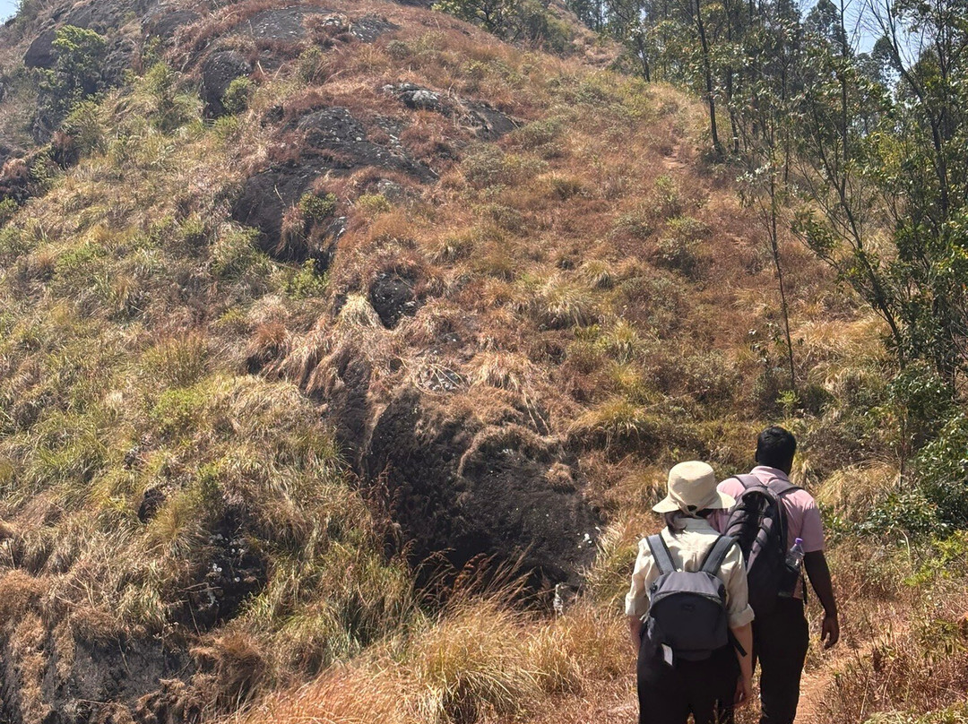Munnar Hiking Trails景点图片