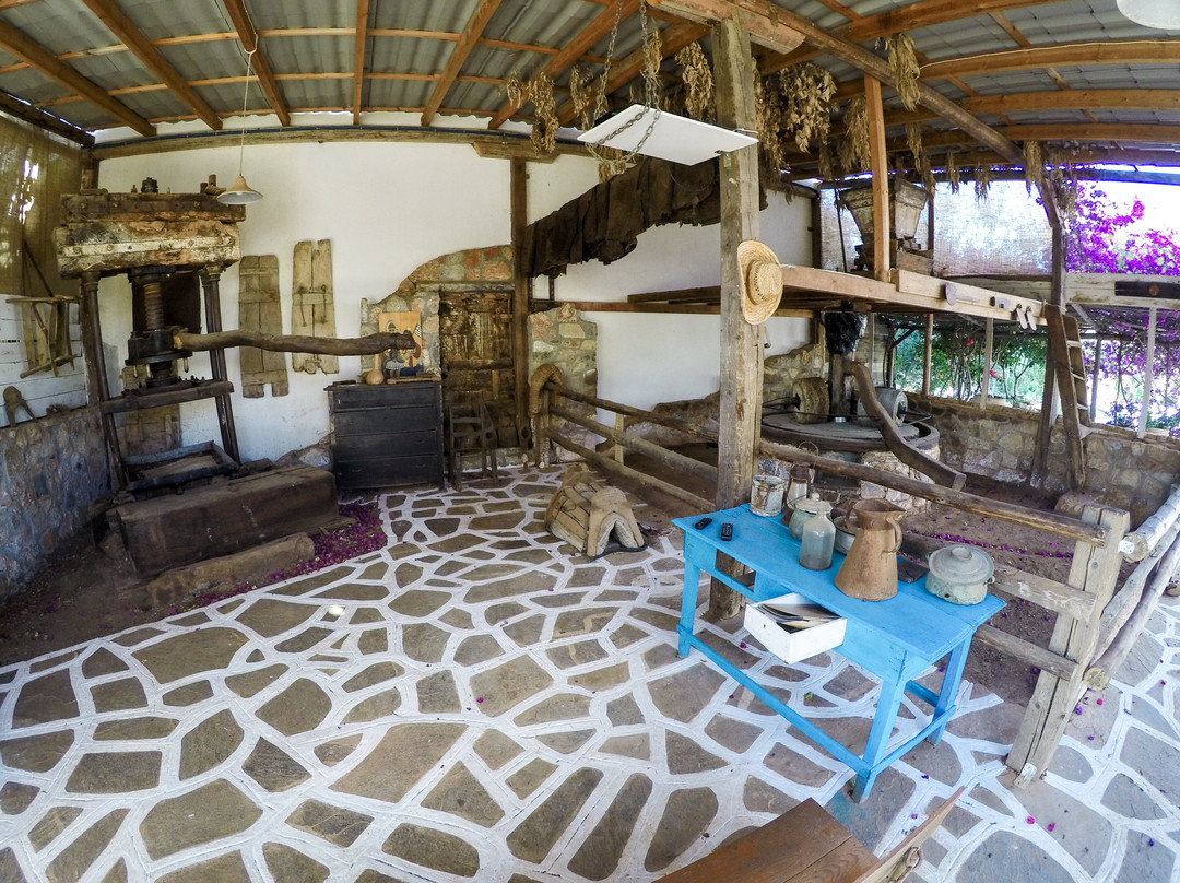 Spiridi Olive Oil Farm-Agios Nikolaos必去景点