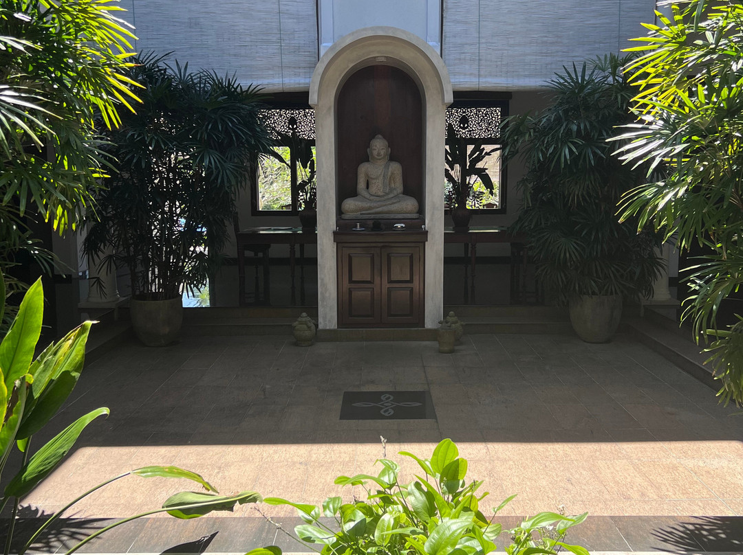 Yoga in Niyagama House-加勒必去景点
