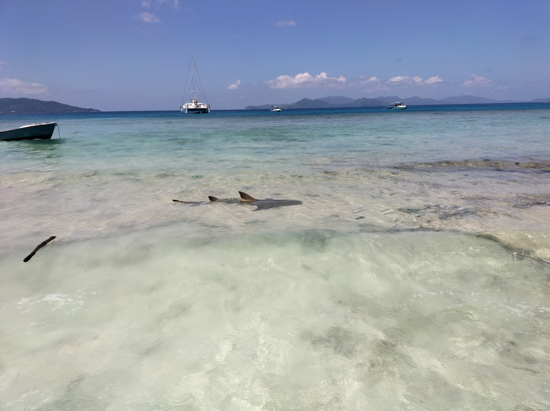 Zico Boat Excursions La Digue景点图片
