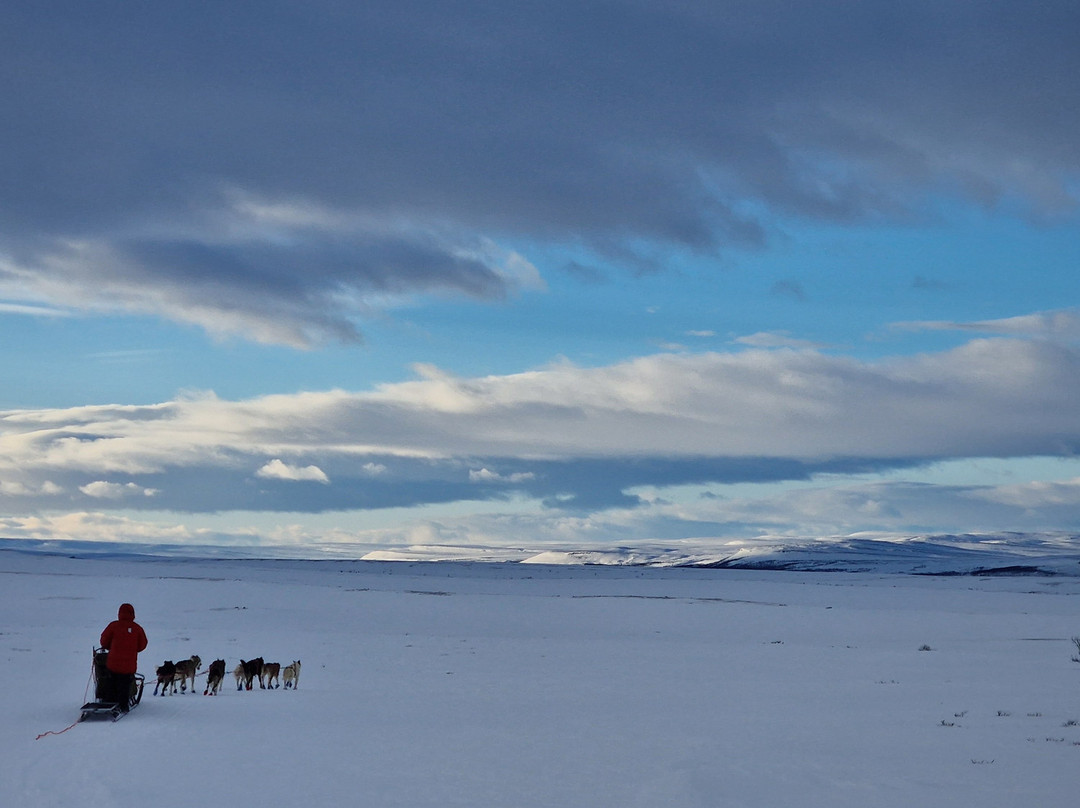 Gargia Husky The True North Experience-阿尔塔必去景点