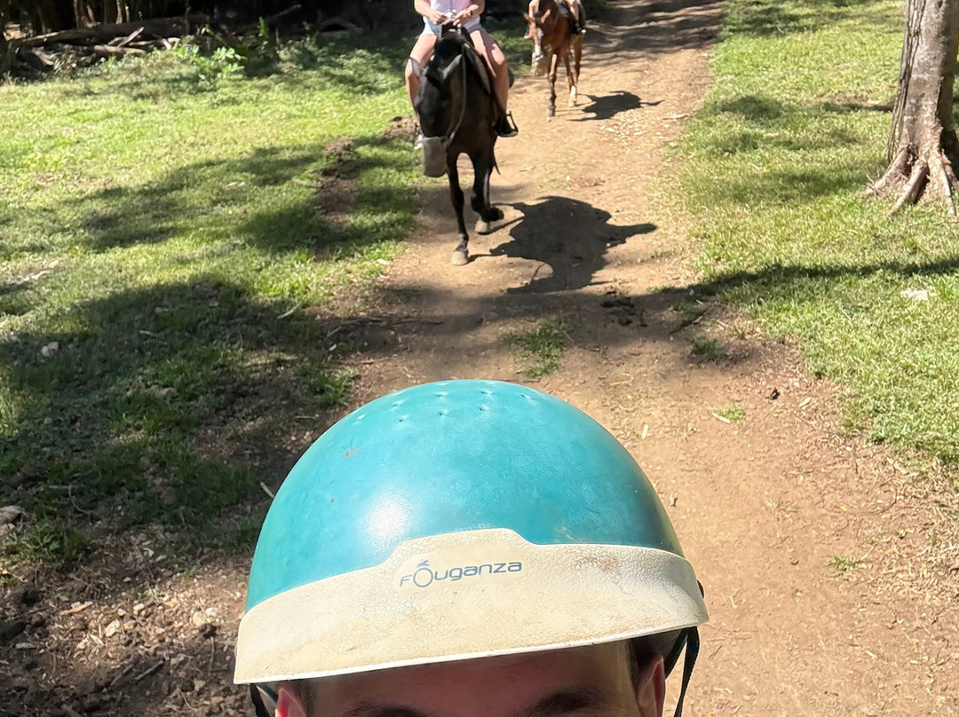 Horse Jungle-萨玛拉滩必去景点