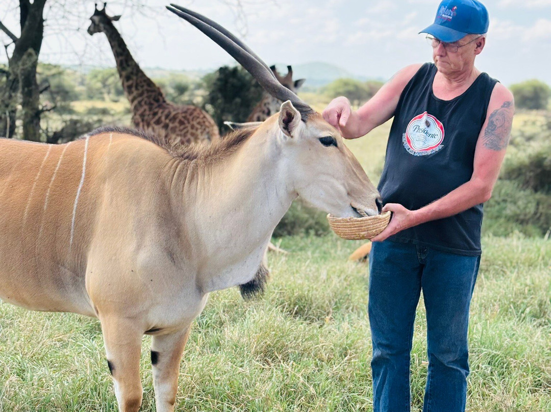 Zanbest Tours and Safaris-Sinoni必去景点