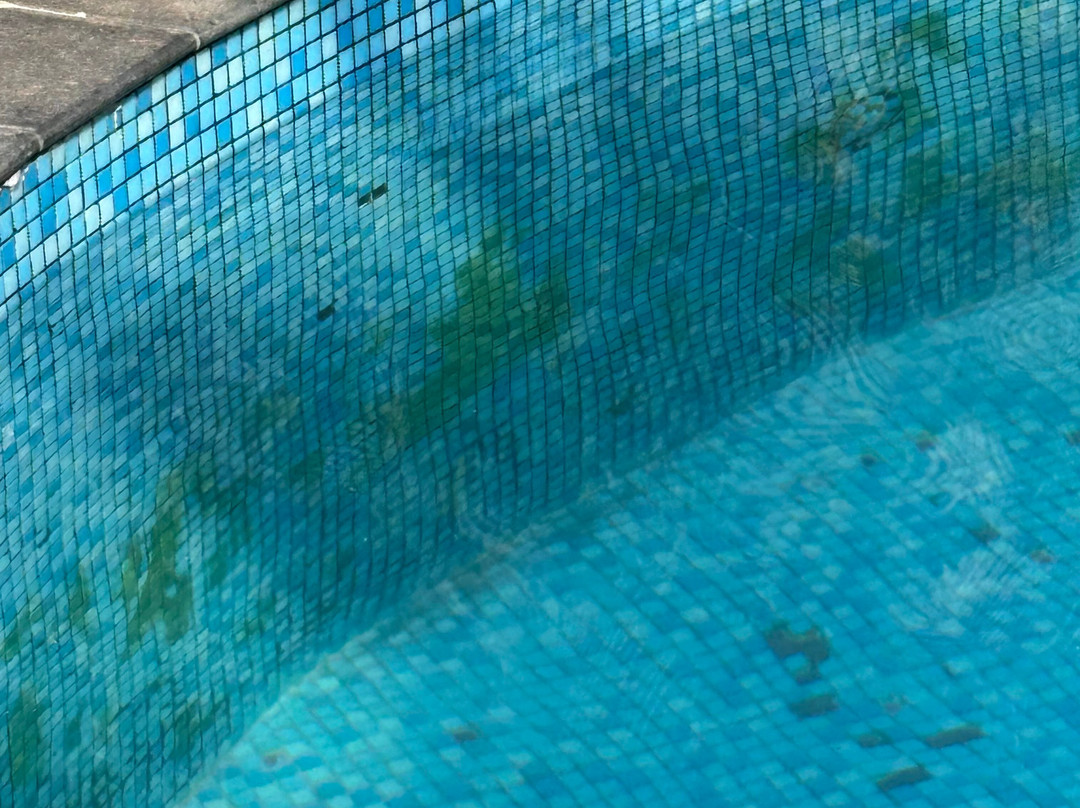 Coconut Grove Beach Resort主图