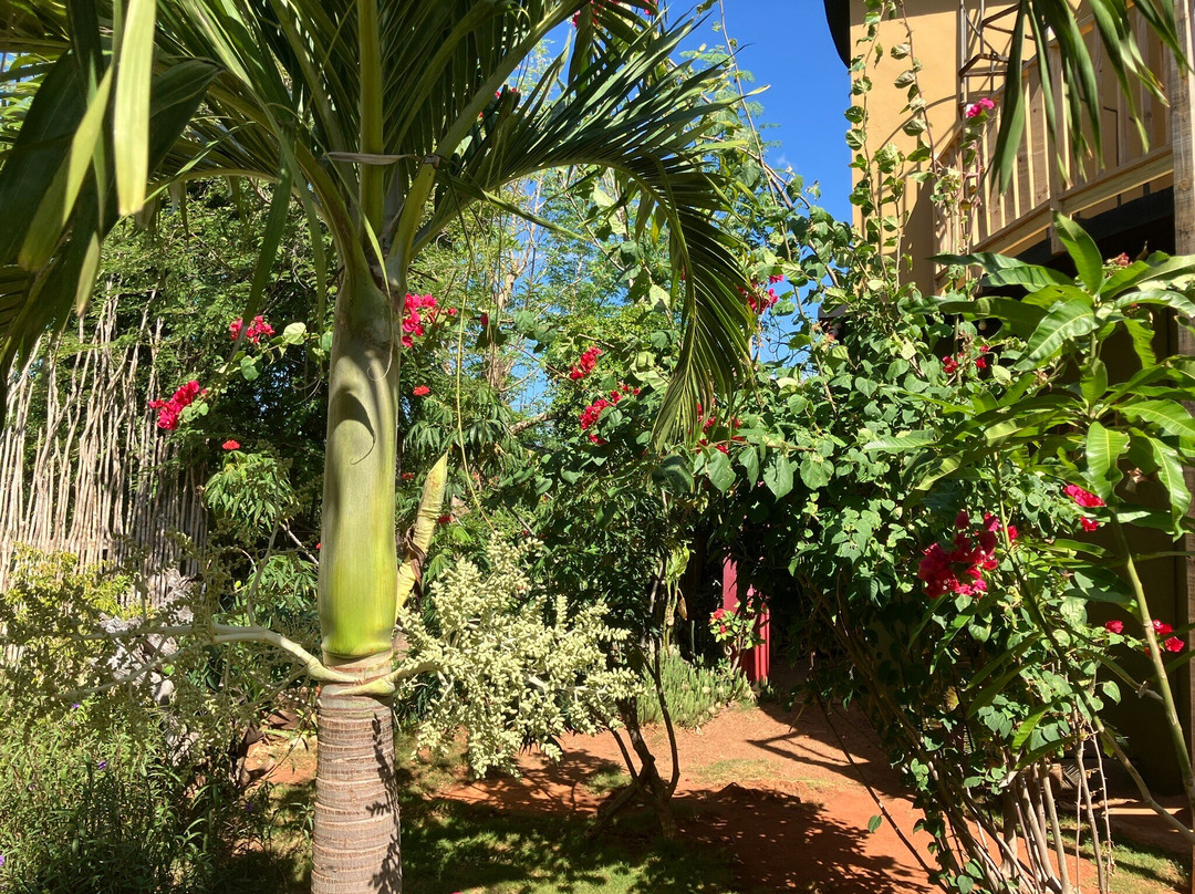 Kudehya Guesthouse主图