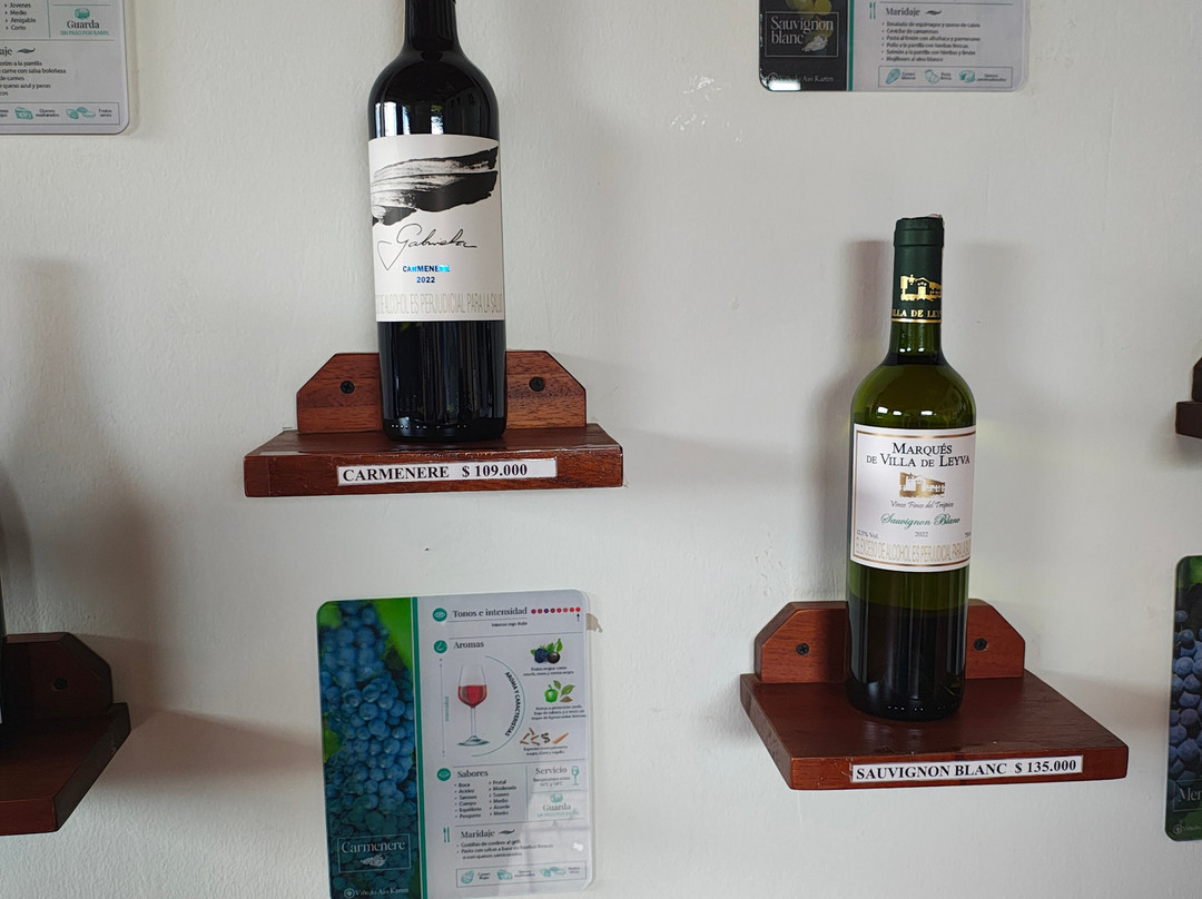 Viñedo Ain Karim-莱瓦镇必去景点