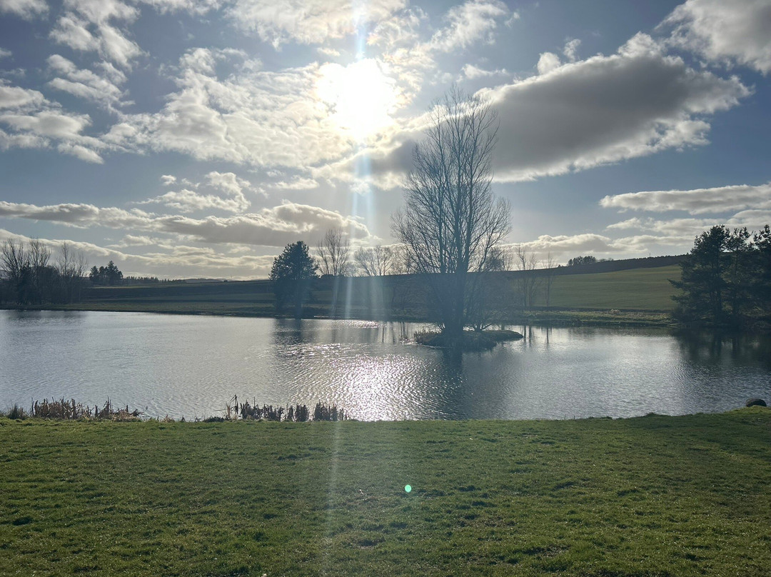 Loch Insch Fishery-Insch必去景点