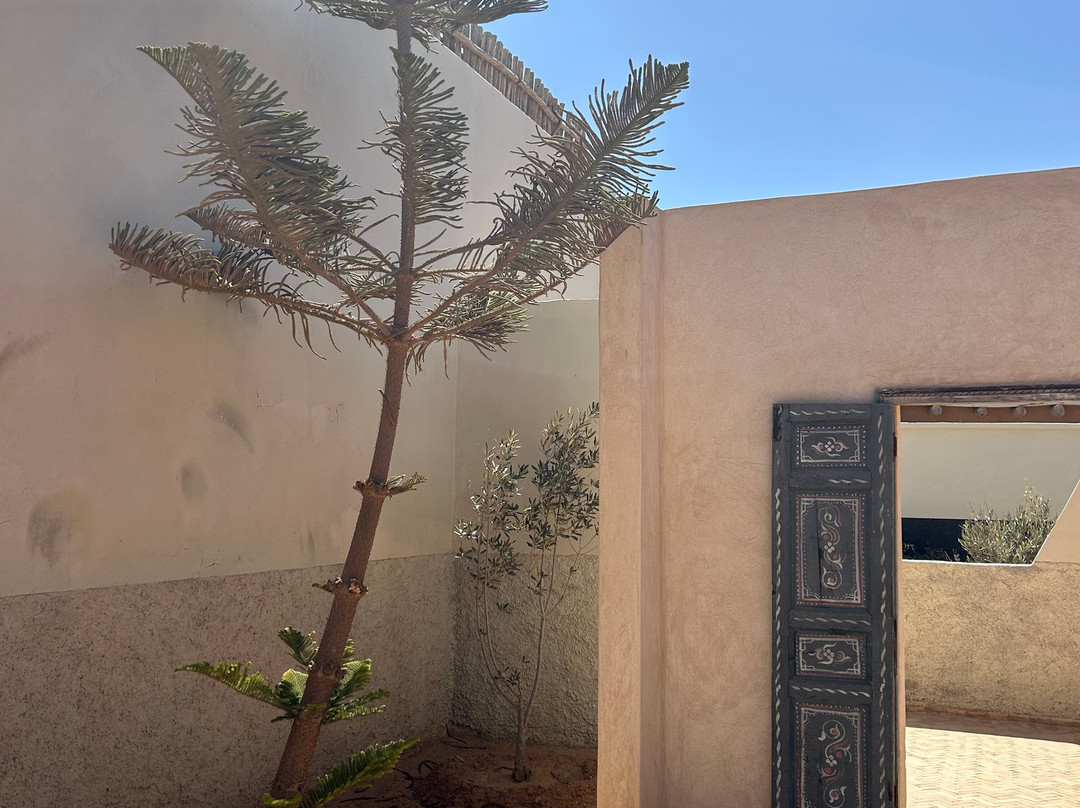 Caravan Dakhla By Our Habitas主图