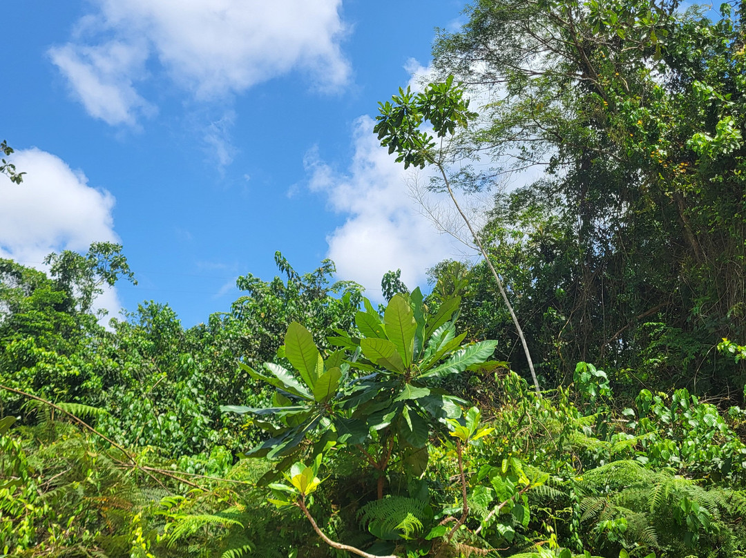 Ghiacciaio Di Sale Di Makola-Pointe Noire必去景点
