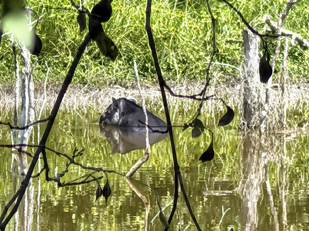 Calakmul y Selva Tours-卡拉克穆尔必去景点