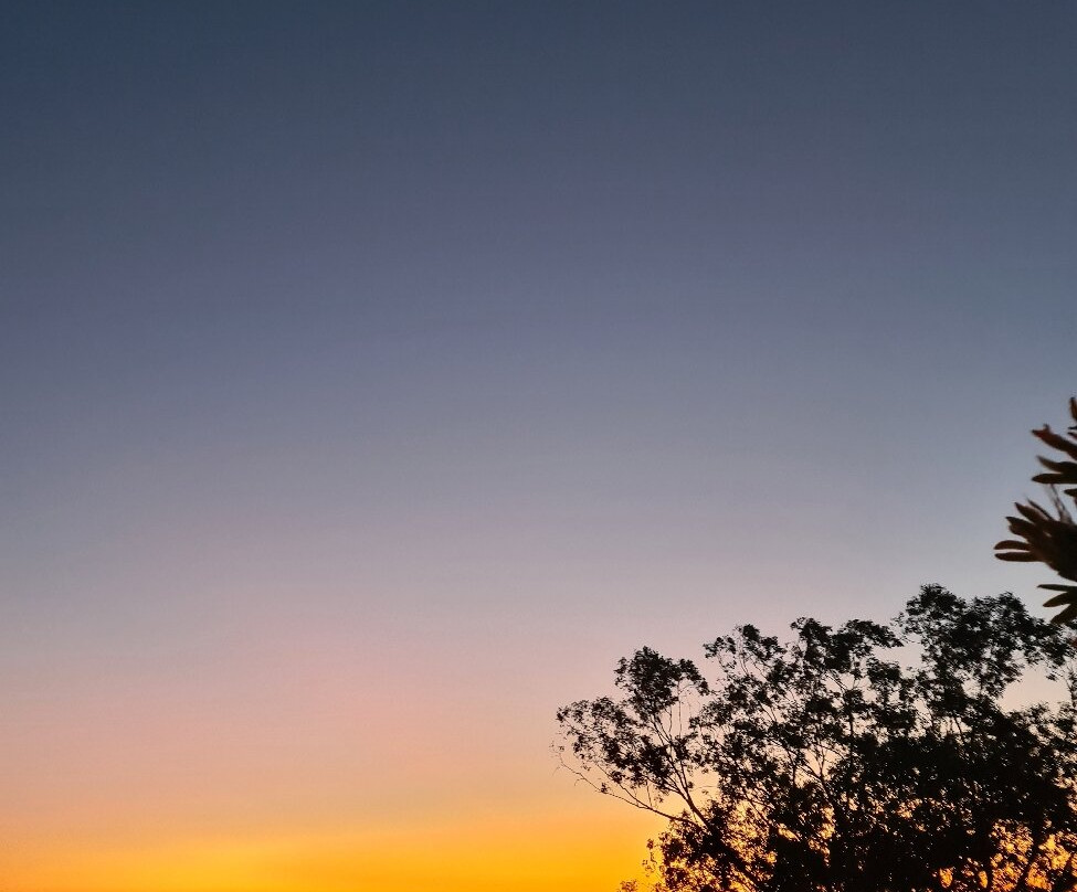 Country Gardens Motor Inn主图