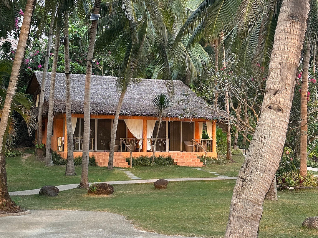 椰树林海滩度假村主图