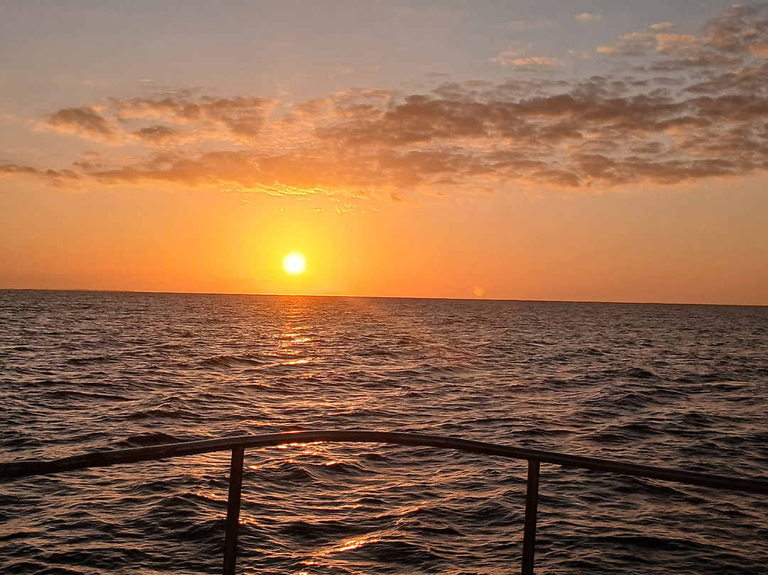 Caicos Dream Tours-普罗维登西亚莱斯必去景点