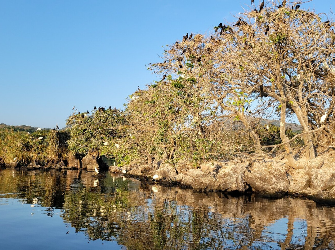 Book Of Mormon Tours-里奇菲尔德必去景点